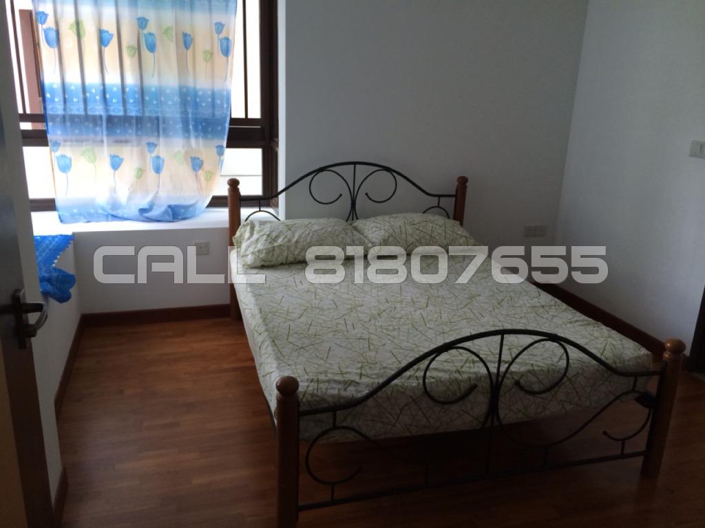Blk 435B Fernvale Road (Sengkang), HDB 4 Rooms #100620122